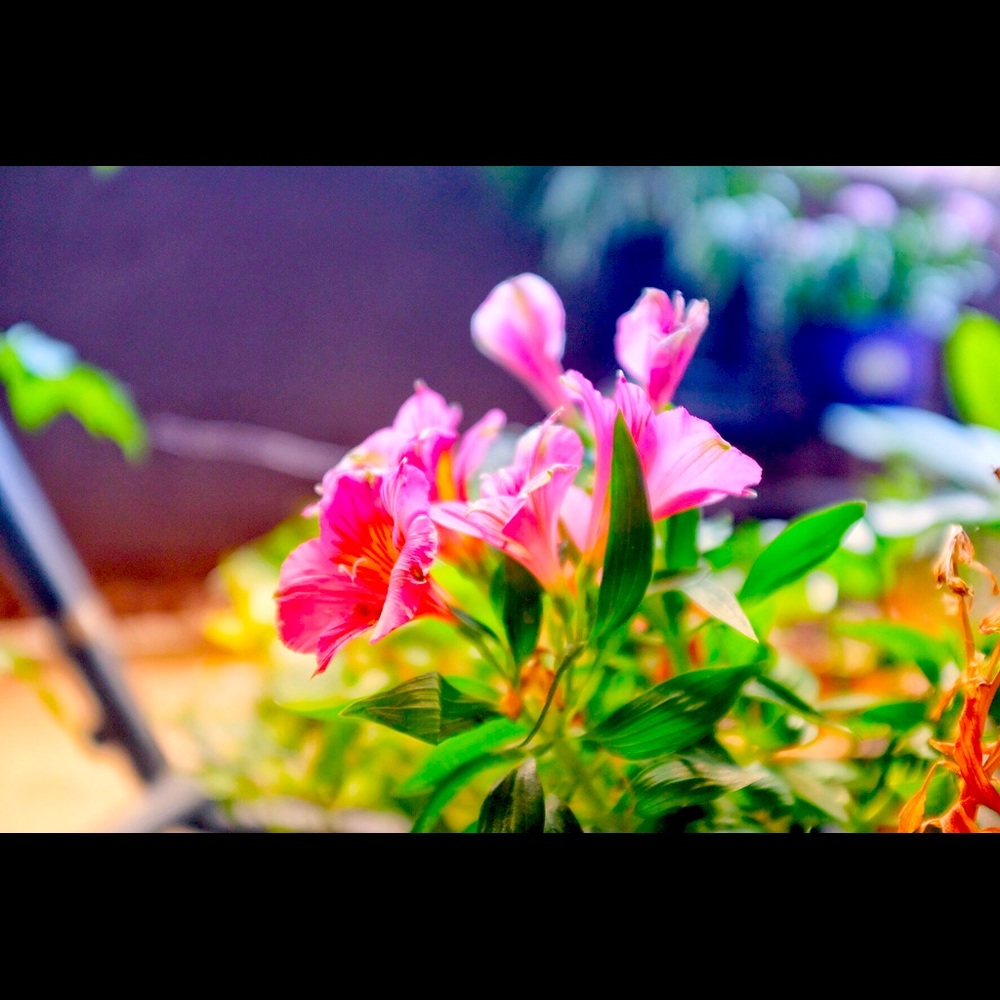 Meet your Posher, Sbee